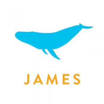 350x350 Blue Whale Silhouette Name Wall Sticker Little Village Boutique