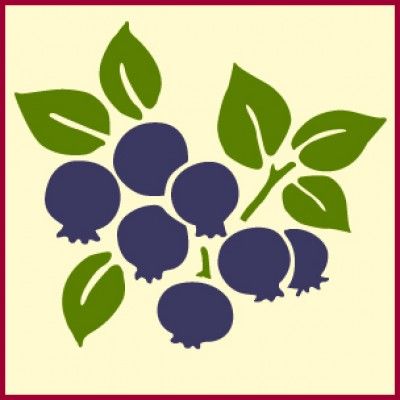 400x400 Blueberry Stencil Click Through To Buy This Gorgeous Home Decor