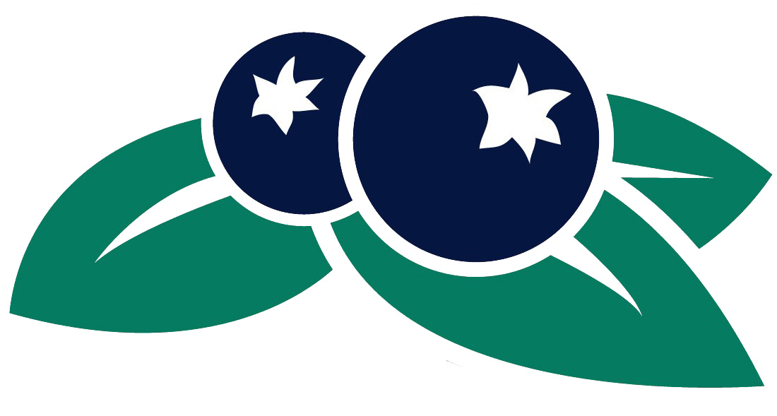 1100x589 Image Of Blueberry Clipart