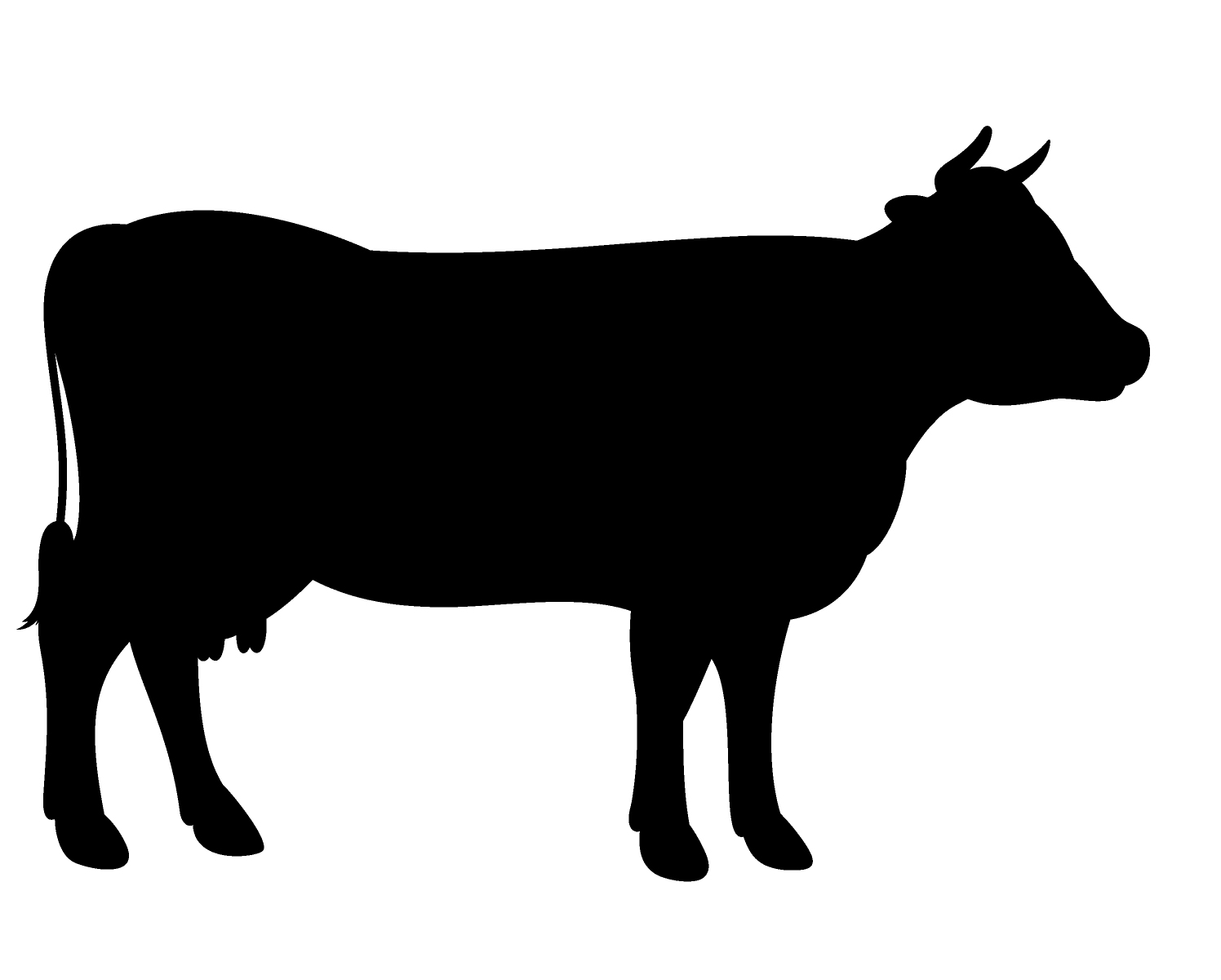 1496x1200 Pastured Local Beef Amp Blueberry Kaskazinikitchen