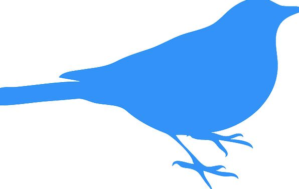 Bluebird Silhouette at GetDrawings | Free download