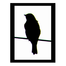 260x260 Bluebird Postcards