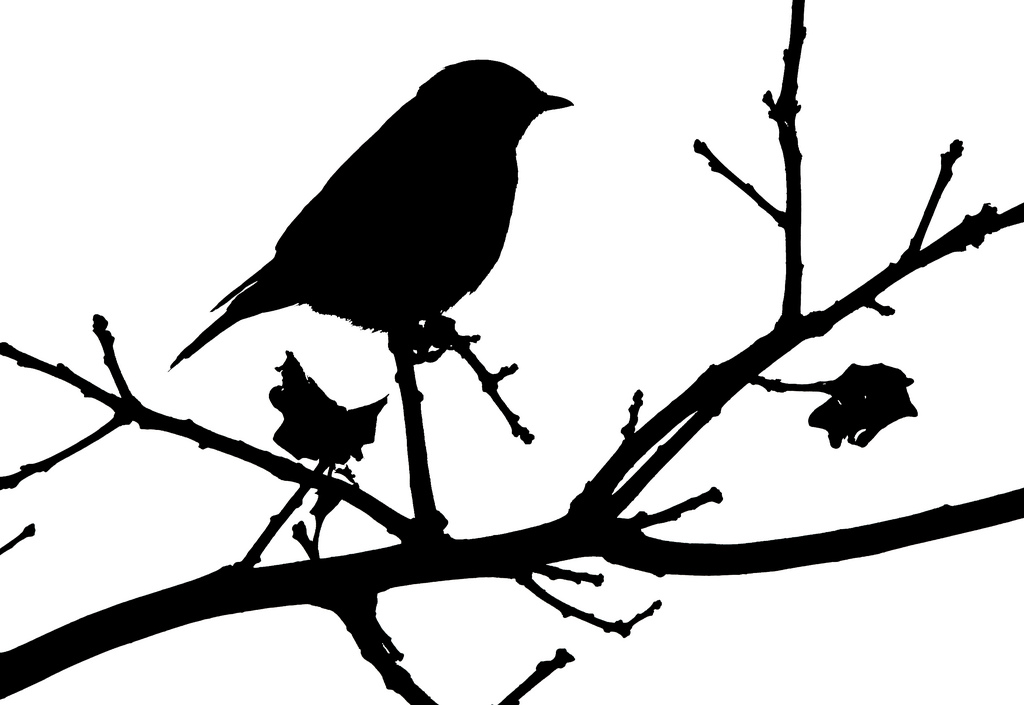 Bluebird Silhouette at GetDrawings | Free download