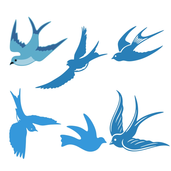 600x600 Blue Bird Cuttable Design