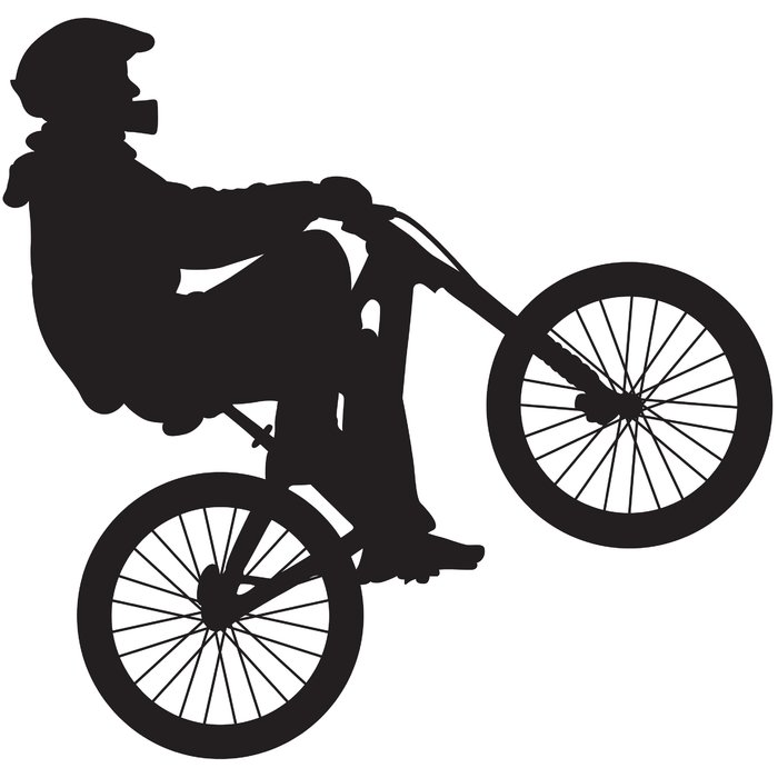 700x700 Wallhogs Bmx Silhouette I Cutout Wall Decal Amp Reviews Wayfair.ca