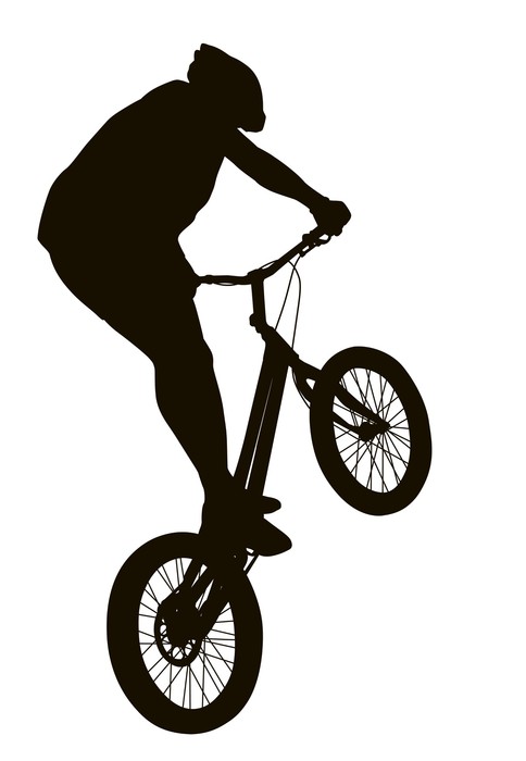 484x700 Bike Vector Silhouette Wall Mural We Live To Change
