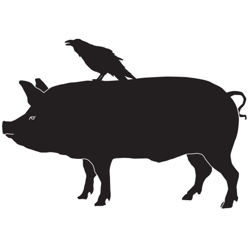 500x500 Raven Amp Boar