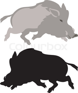 268x320 Vector Silhouette Of The Wild Boar Stock Vector Colourbox