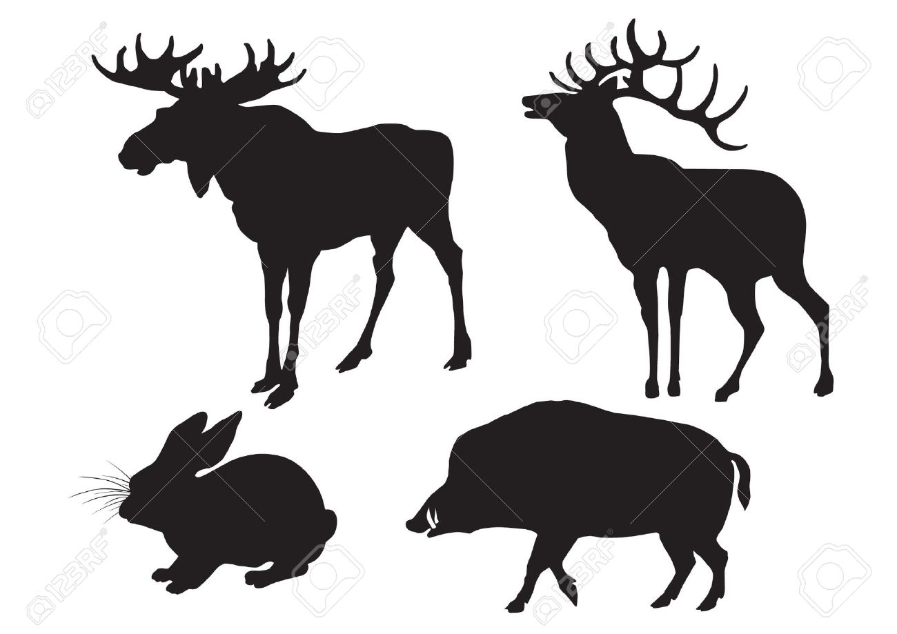 1300x919 Wild Boar Deer Clipart