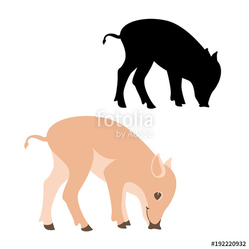 500x500 Pig Vector Illustration Flat Style Silhouette Black Stock Image