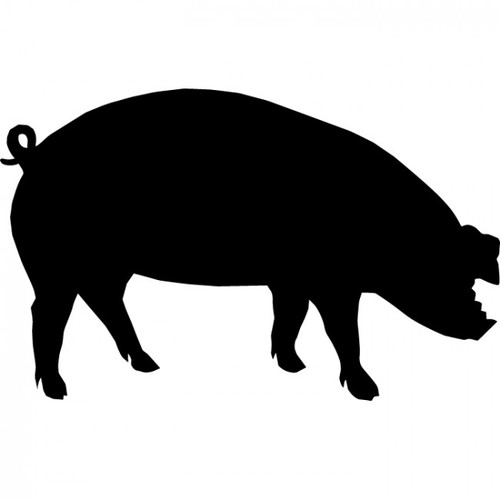500x500 Show Hog Silhouette Clipart