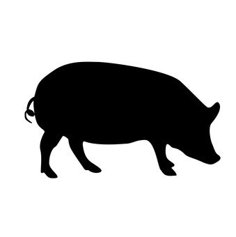 339x340 Free Silhouette Vector The Wild Boar, Icon