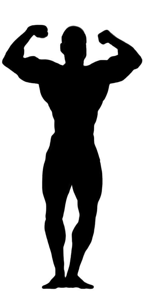 482x1008 Clipart Body Silhouette Collection