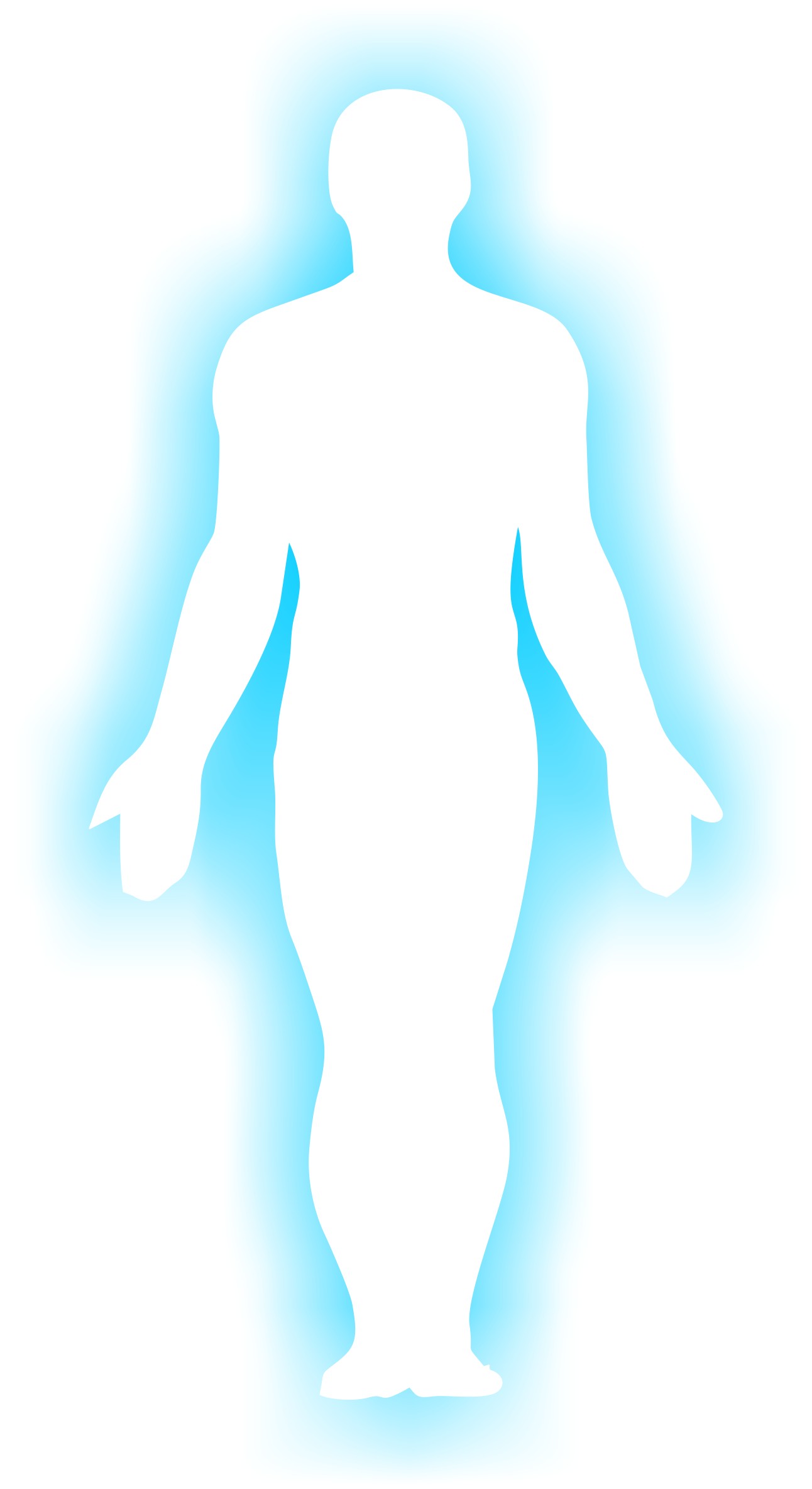 1292x2368 Awesome Human Body Silhouette Human Body Part In Detail