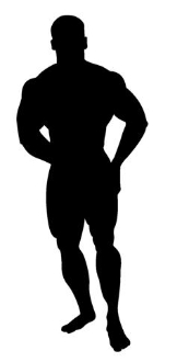 173x330 Bodybuilder Silhouette 3 Decal Sticker