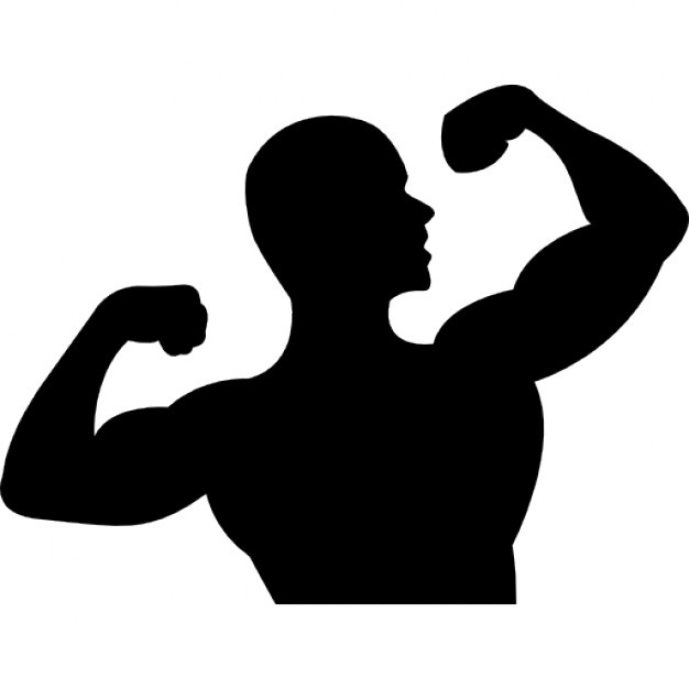 626x626 Bodybuilding Silhouette Vectors, Photos And Psd Files Free Download