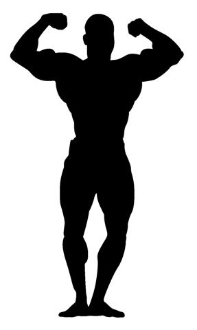 197x330 Bodybuilder Silhouette 4 Decal Sticker