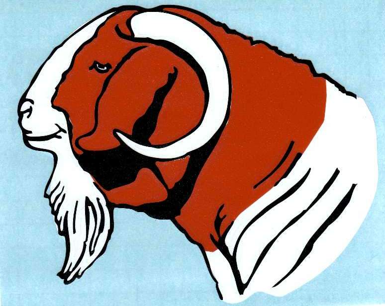 774x616 Boer Goat Clipart In Color Collection