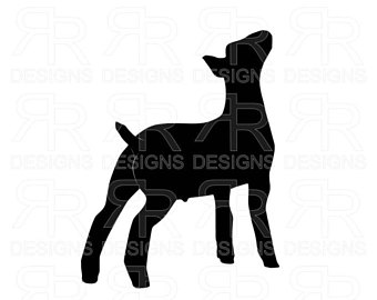 340x270 Boer Goat Svg File Etsy