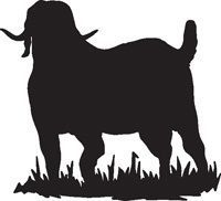 200x182 Boer Goat Head Clip Art Clip Art By Jackie Nix Cartoon Drawing