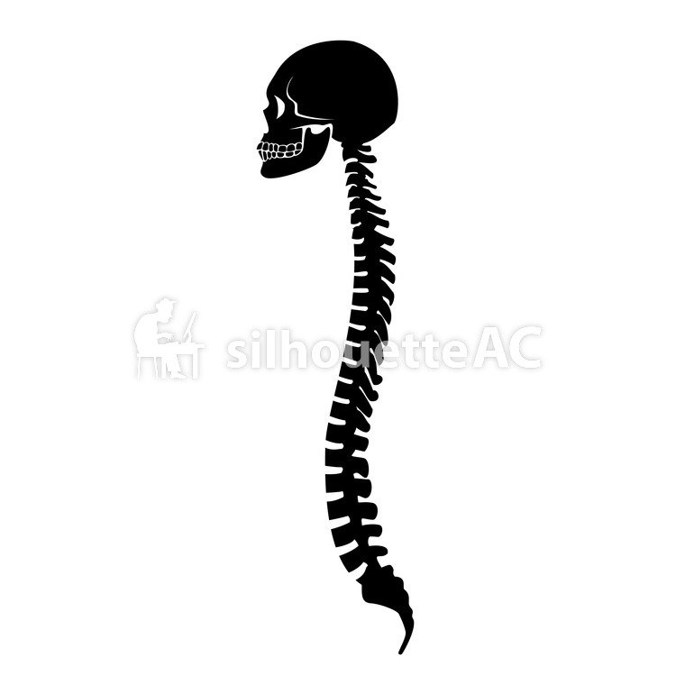 750x750 Free Silhouette Vector Body, A Bone