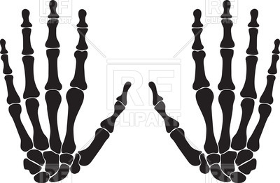 400x262 Silhouettes Of Hand Bones Royalty Free Vector Clip Art Image
