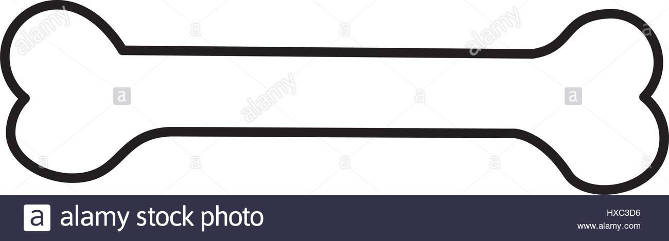 1300x469 Sketch Silhouette Pet Bone Icon Flat Stock Vector Art
