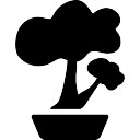 128x128 Tree Bonsai Vectors, Photos And Psd Files Free Download