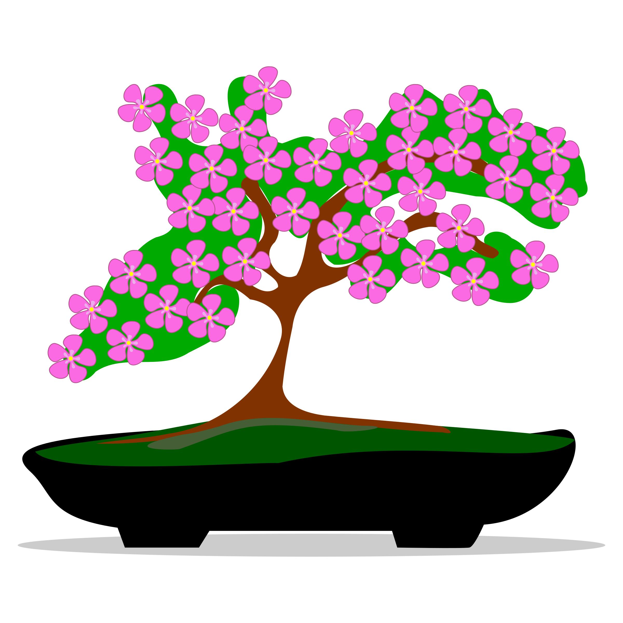 2400x2400 Bonsai Silhouette 2 Icons Png