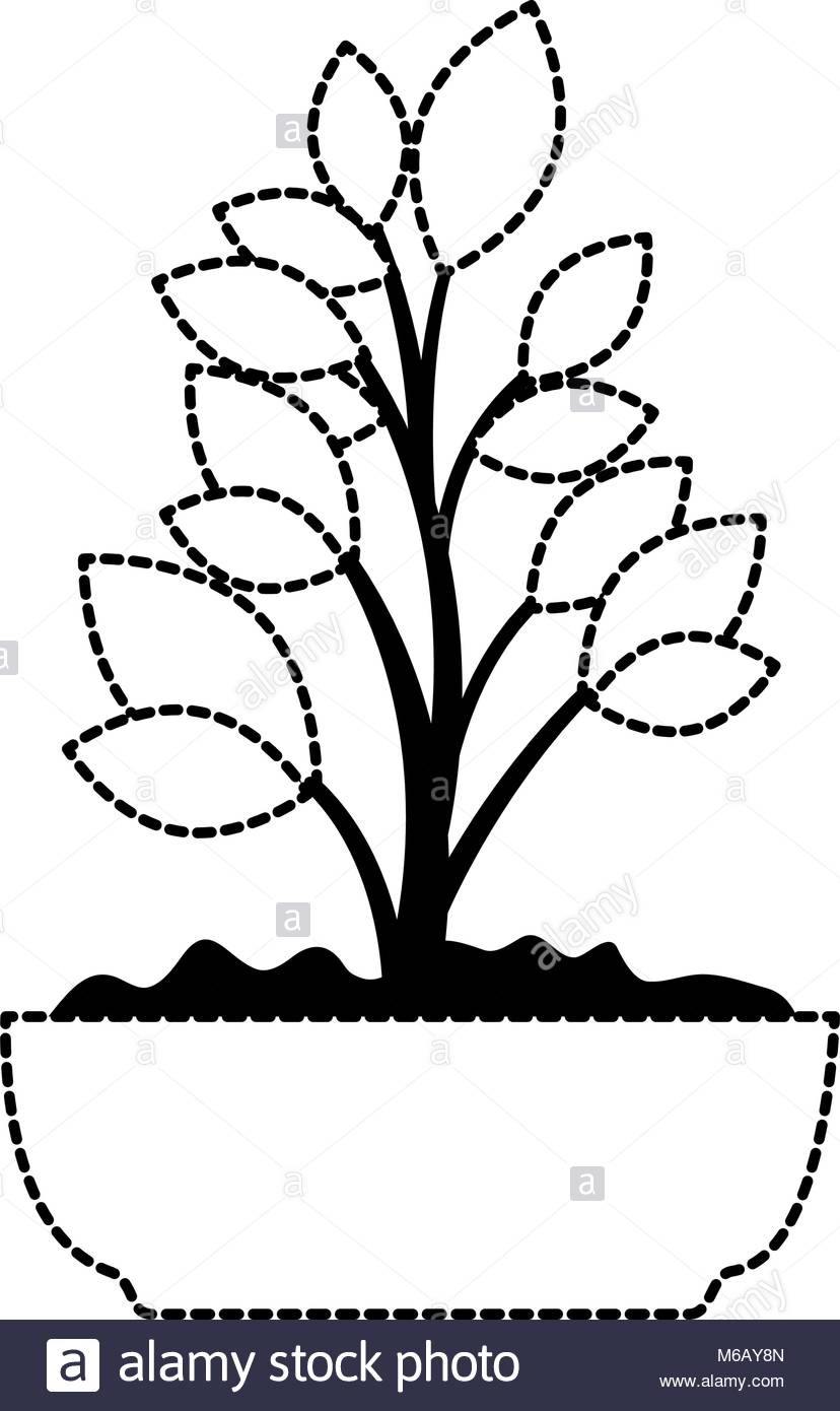 828x1390 Bonsai Tree Silhouette Black And White Stock Photos Amp Images