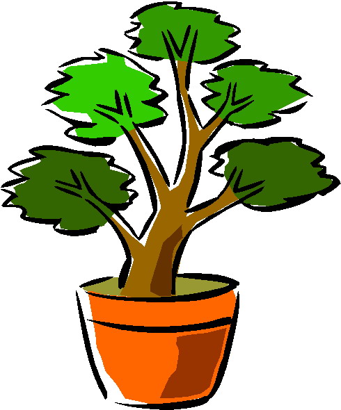 490x590 Bonsai Free Clipart
