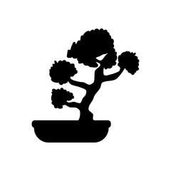 240x240 Search Photos By Parkheta