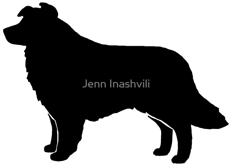 800x572 Border Collie Silhouette(S) Stickers By Jenn Inashvili Redbubble
