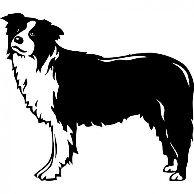 650x650 Image Result For Dog Decals
