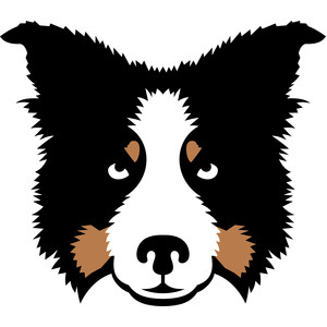 300x300 Silhouette Design Store