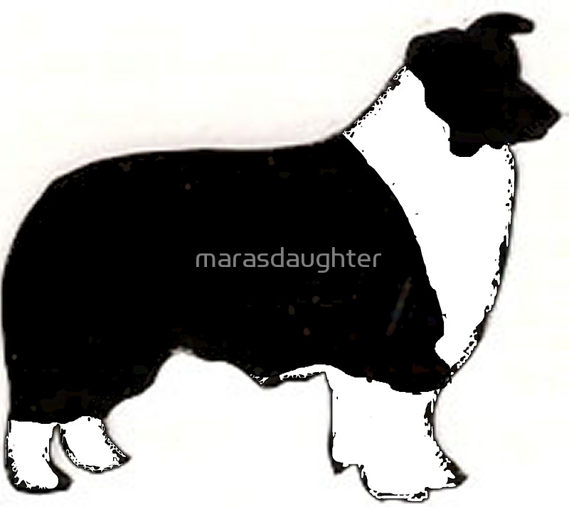 800x714 Border Collie Balck And White Silhouette Stickers By