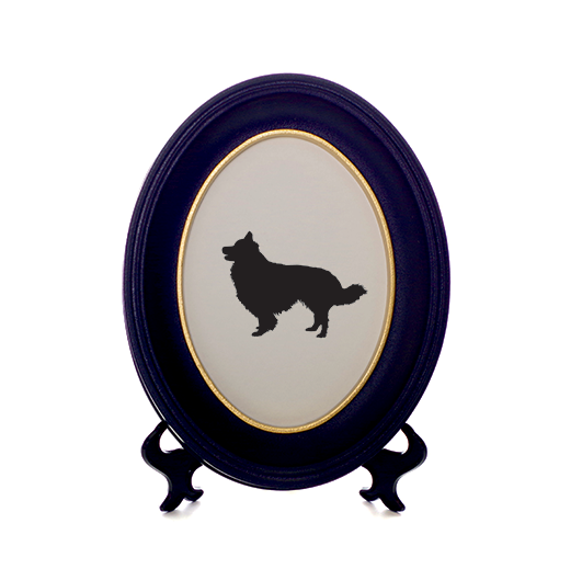 531x529 Border Collie