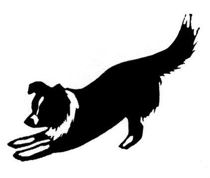 423x360 Border Collie Play Rubber Stamp Collie And Dog