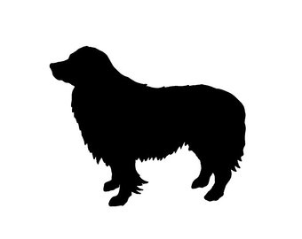 340x270 Border Collie Breed Etsy