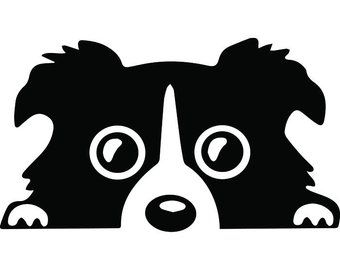 340x270 Border Collie Png Etsy
