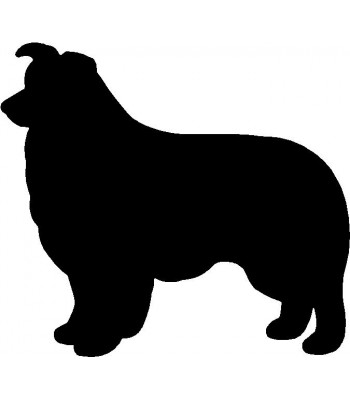 350x400 Dog Key Rack Leash Hanger Border Collie