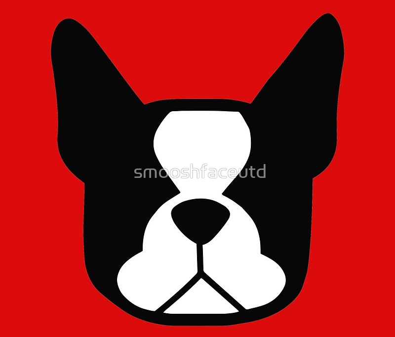 800x682 Boston Terrier Face In Black And White