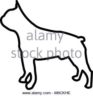 311x320 Vector Sketch Dog Boston Terrier Breed Serious Stock Vector Art