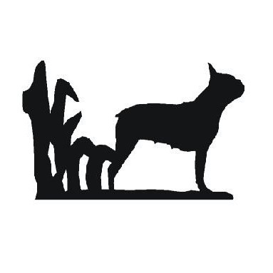 383x383 Boston Terrier Luxury Gifts