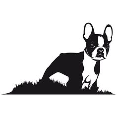 236x236 Boston Terrier Silhouette Clipart