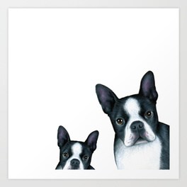 264x264 Bostonterrier Art Prints Society6