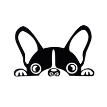 220x220 Buy Boston Terrier Decal And Get Free Shipping