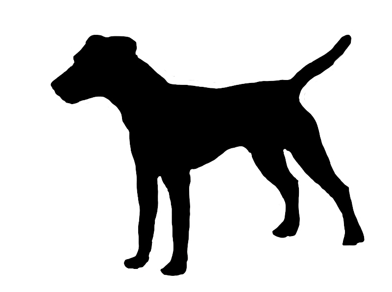 800x595 Boston Terrier Silhouette Free Vector Silhouettes