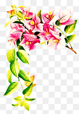 260x373 Bougainvillea Png, Vectors, Psd, And Clipart For Free Download