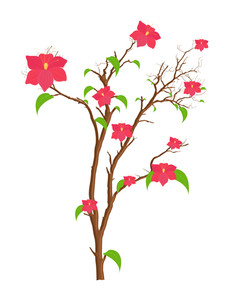 230x300 Pink Flowers Branches Royalty Free Stock Image